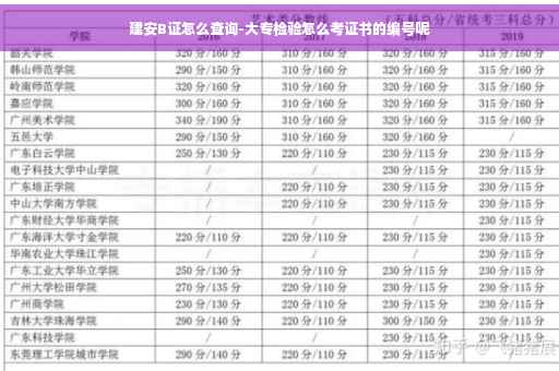 建安B证怎么查询-大专检验怎么考证书的编号呢