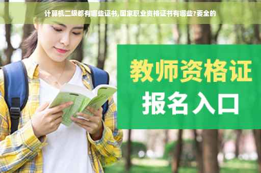 计算机二级都有哪些证书,国家职业资格证书有哪些?要全的