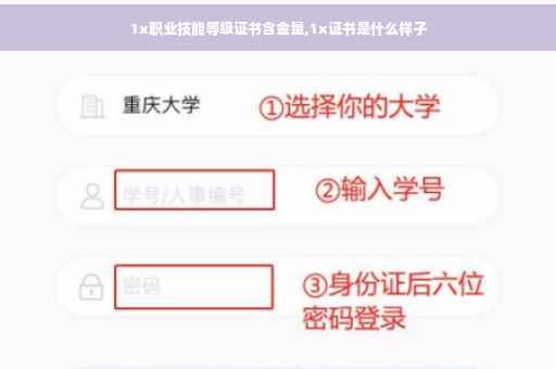 1x职业技能等级证书含金量,1x证书是什么样子