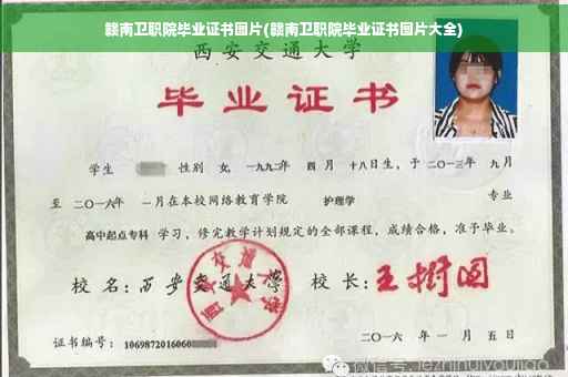 赣南卫职院毕业证书图片(赣南卫职院毕业证书图片大全)