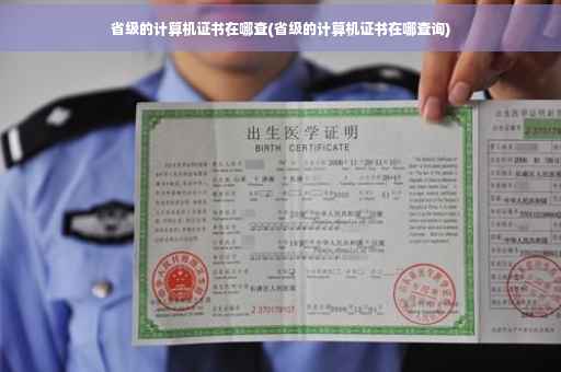 省级的计算机证书在哪查(省级的计算机证书在哪查询)