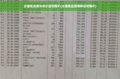 计算机应用与设计证书图片(计算机应用等级证书图片)