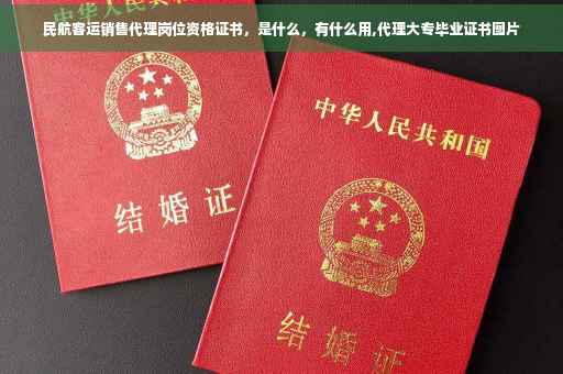 民航客运销售代理岗位资格证书，是什么，有什么用,代理大专毕业证书图片
