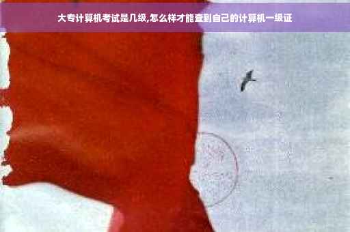 大专计算机考试是几级,怎么样才能查到自己的计算机一级证