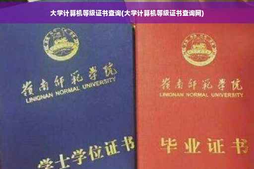 大学计算机等级证书查询(大学计算机等级证书查询网)