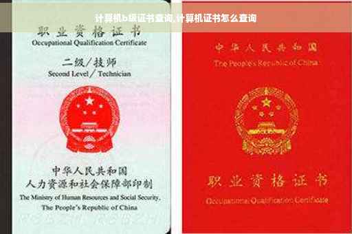 计算机b级证书查询,计算机证书怎么查询