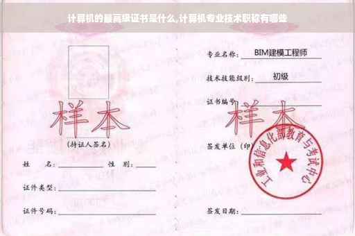 计算机的最高级证书是什么,计算机专业技术职称有哪些