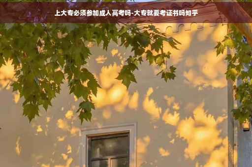 上大专必须参加成人高考吗-大专就要考证书吗知乎