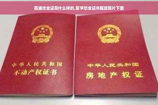 西浦毕业证是什么样的,留学毕业证书框架图片下载