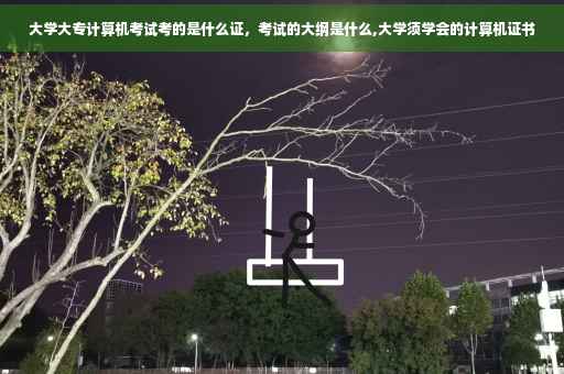 大学大专计算机考试考的是什么证，考试的大纲是什么,大学须学会的计算机证书