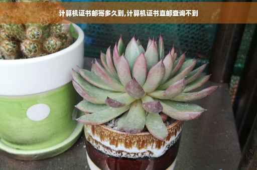 计算机证书邮寄多久到,计算机证书直邮查询不到