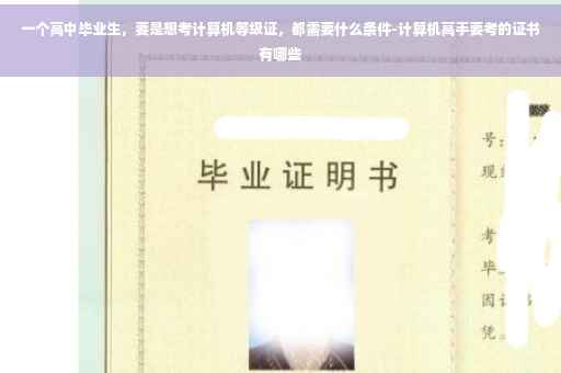 一个高中毕业生，要是想考计算机等级证，都需要什么条件-计算机高手要考的证书有哪些