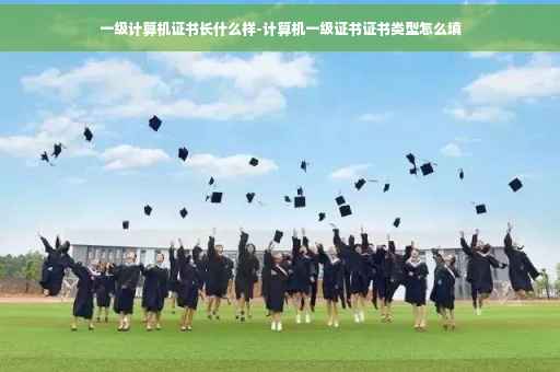 一级计算机证书长什么样-计算机一级证书证书类型怎么填