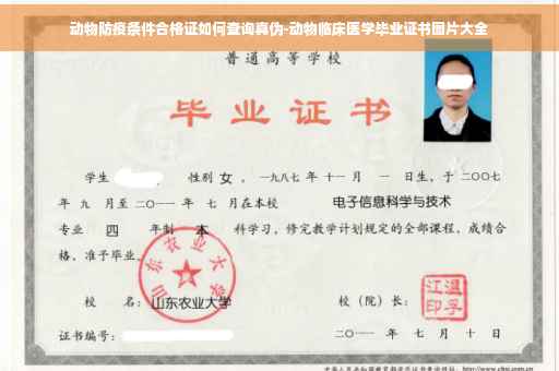 动物防疫条件合格证如何查询真伪-动物临床医学毕业证书图片大全