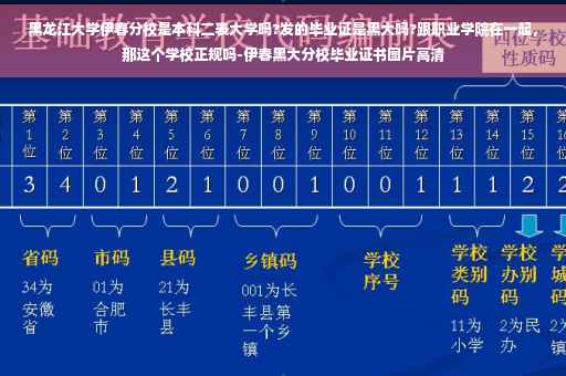 黑龙江大学伊春分校是本科二表大学吗?发的毕业证是黑大吗?跟职业学院在一起，那这个学校正规吗-伊春黑大分校毕业证书图片高清