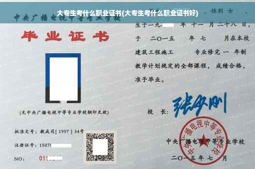 大专生考什么职业证书(大专生考什么职业证书好)