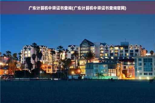 广东计算机中级证书查询(广东计算机中级证书查询官网)