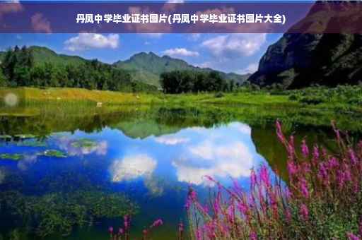 丹凤中学毕业证书图片(丹凤中学毕业证书图片大全)