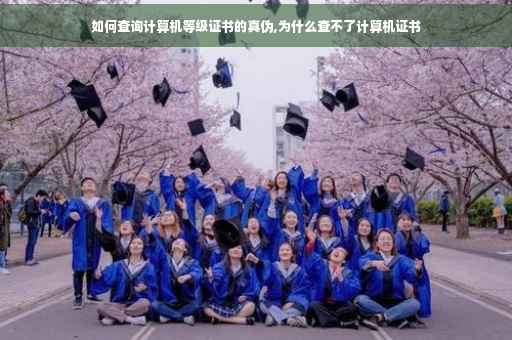 如何查询计算机等级证书的真伪,为什么查不了计算机证书