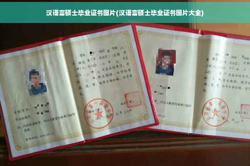 汉语言硕士毕业证书图片(汉语言硕士毕业证书图片大全)