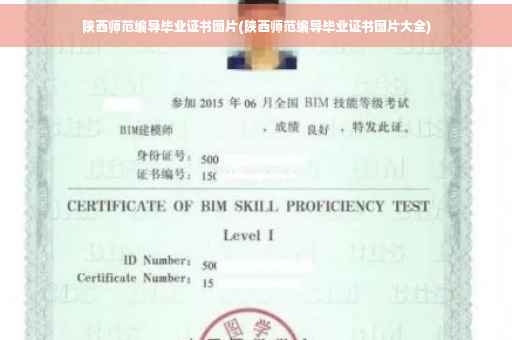 陕西师范编导毕业证书图片(陕西师范编导毕业证书图片大全)