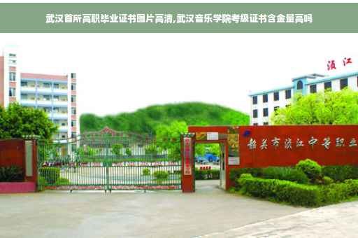 武汉首所高职毕业证书图片高清,武汉音乐学院考级证书含金量高吗