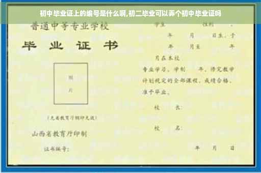 初中毕业证上的编号是什么啊,初二毕业可以弄个初中毕业证吗