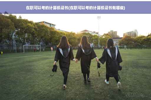 在职可以考的计算机证书(在职可以考的计算机证书有哪些)