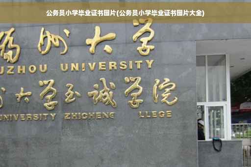 公务员小学毕业证书图片(公务员小学毕业证书图片大全)