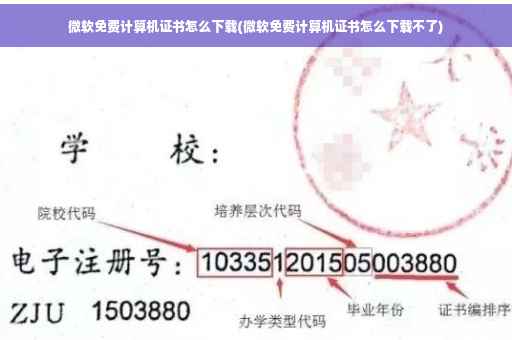 微软免费计算机证书怎么下载(微软免费计算机证书怎么下载不了)
