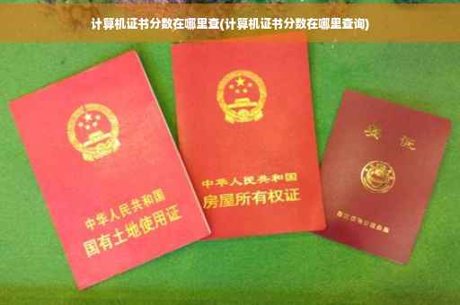 计算机证书分数在哪里查(计算机证书分数在哪里查询)