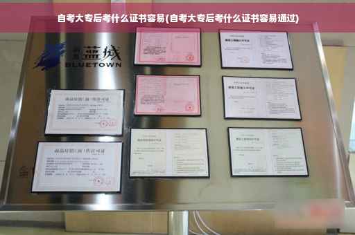 自考大专后考什么证书容易(自考大专后考什么证书容易通过)