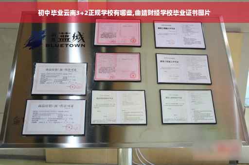 初中毕业云南3+2正规学校有哪些,曲靖财经学校毕业证书图片