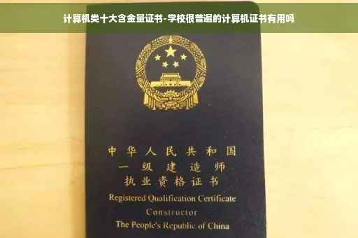 计算机类十大含金量证书-学校很普遍的计算机证书有用吗