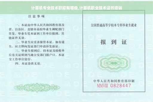 计算机专业技术职称有哪些,计算机职业技术证书培训