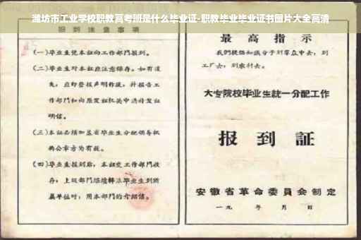 潍坊市工业学校职教高考班是什么毕业证-职教毕业毕业证书图片大全高清