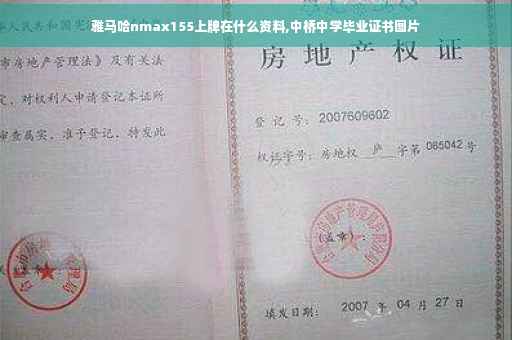 雅马哈nmax155上牌在什么资料,中桥中学毕业证书图片