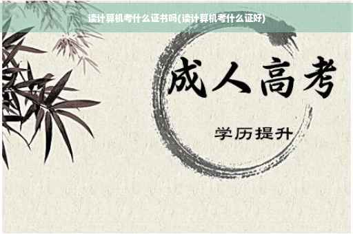 读计算机考什么证书吗(读计算机考什么证好)