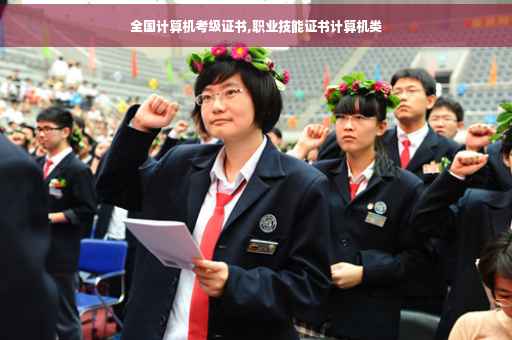 全国计算机考级证书,职业技能证书计算机类