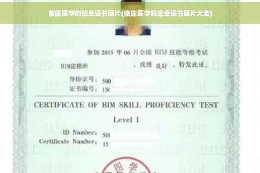 临床医学的毕业证书图片(临床医学的毕业证书图片大全)