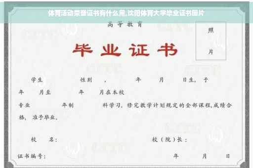 体育活动荣誉证书有什么用,沈阳体育大学毕业证书图片