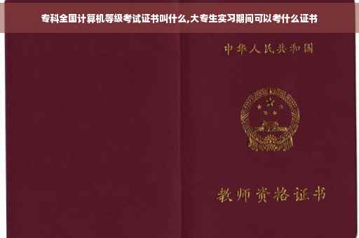 专科全国计算机等级考试证书叫什么,大专生实习期间可以考什么证书