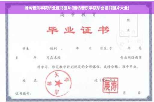潍坊音乐学院毕业证书图片(潍坊音乐学院毕业证书图片大全)