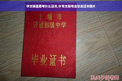 学文秘需要考什么证书,中专文秘专业毕业证书图片