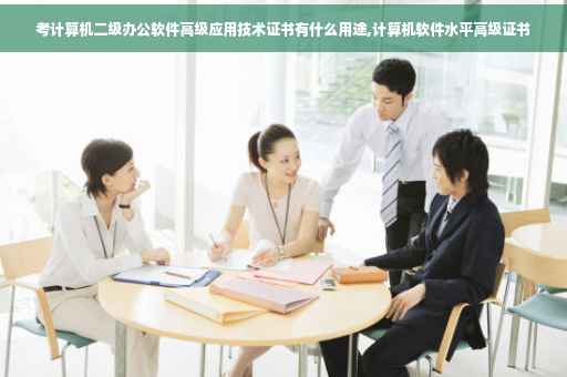 考计算机二级办公软件高级应用技术证书有什么用途,计算机软件水平高级证书 考计算机二级办公软件高级应用技术证书有什么用途,计算机软件水平高级证书