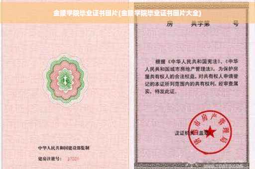 金陵学院毕业证书图片(金陵学院毕业证书图片大全)