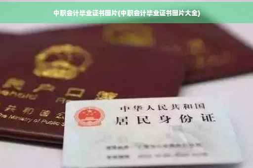 中职会计毕业证书图片(中职会计毕业证书图片大全)
