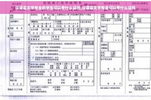 汉语言文学专业的学生可以考什么证书,汉语言文学专业可以考什么证件