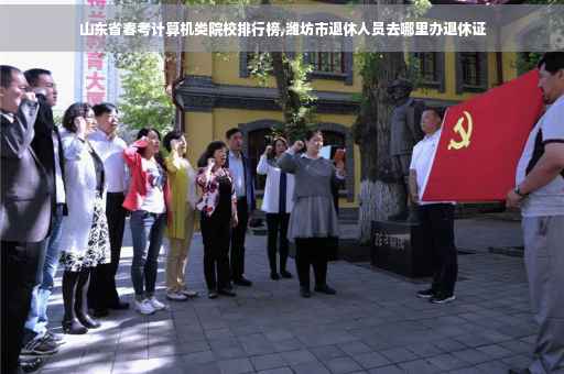 山东省春考计算机类院校排行榜,潍坊市退休人员去哪里办退休证