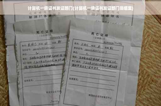计算机一级证书发证部门(计算机一级证书发证部门是哪里)